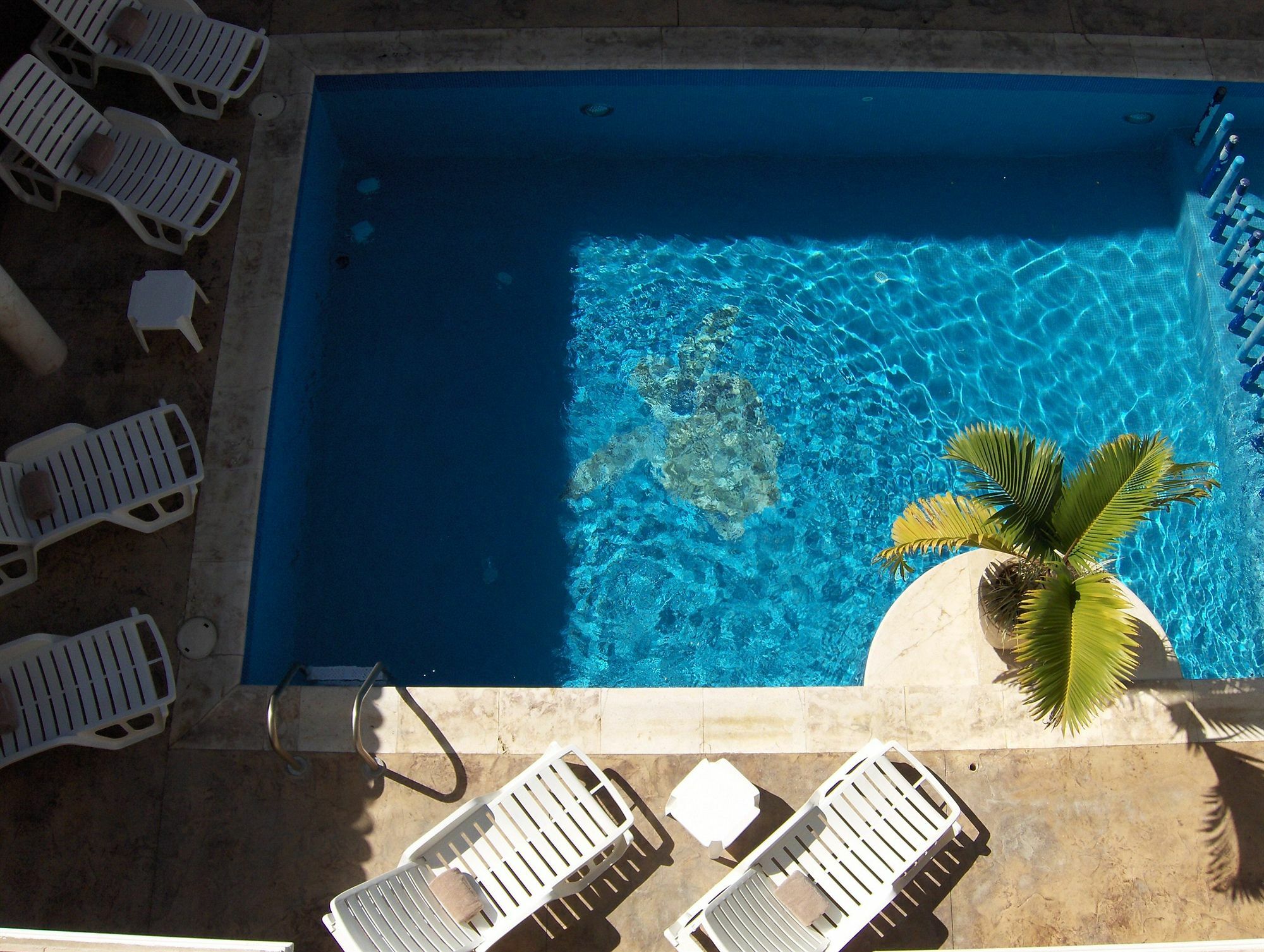 Hotel Dubrovnik Меріда Екстер'єр фото